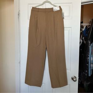 Uniqlo Pleated Wide Leg Pants